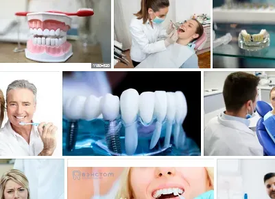  dentists expert 