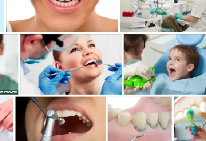  dentists expert 