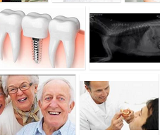 Health-online dentists expert
